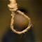 Image Feed