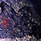 Image Feed